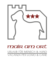 Logo Mayer
